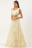 Cream Net Sequins Embroidered Panelled Lehenga