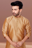 Dark Beige Dupion Silk Embroidered Men Kurta Pajama