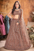 Dark Beige Net Embroidered Party Wear Lehenga