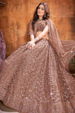 Dark Beige Net Embroidered Party Wear Lehenga