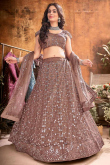 Dark Beige Net Embroidered Party Wear Lehenga