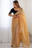 Dark Beige Net Embroidered Light Weight Saree 