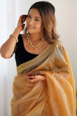 Dark Beige Net Embroidered Light Weight Saree 