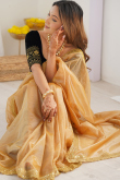 Dark Beige Net Embroidered Light Weight Saree 