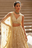 Dark Beige Net Sequins Embroidered Cocktail Lehenga for Wedding & Party