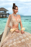 Dark Beige Net Sequins Embroidered Panelled Lehenga 
