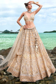 Dark Beige Net Sequins Embroidered Panelled Lehenga 