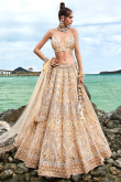 Dark Beige Net Sequins Embroidered Panelled Lehenga 