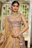 Dark Beige Tissue Embroidered Panelled Style Lehenga For Wedding