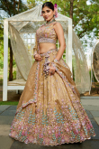 Dark Beige Tissue Embroidered Panelled Style Lehenga For Wedding