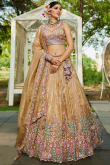 Dark Beige Tissue Embroidered Panelled Style Lehenga For Wedding