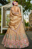 Dark Beige Tissue Embroidered Panelled Style Lehenga For Wedding
