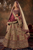 Dark Beige Velvet Embroidered Panelled Lehenga 