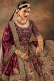 Dark Beige Velvet Embroidered Panelled Lehenga 