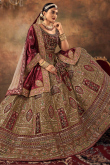 Dark Beige Velvet Embroidered Panelled Lehenga 