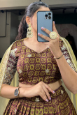 Dark Brown Chinnon Lehenga with Printed Work for Diwali