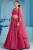 Dark Pink Embroidered Georgette Panelled Style Lehenga
