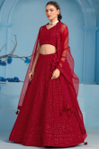 Deep Red Embroidered Georgette Panelled Style Lehenga