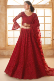 Deep Red Net Stone Embellished Panelled Style Lehenga
