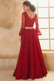 Deep Red Net Stone Embellished Panelled Style Lehenga
