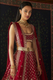 Deep Red Silk Embroidered Panelled Style Lehenga