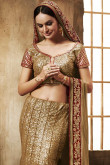Beige Chiffon and net Saree With Dupion Blouse