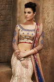 Beige And Blue Brasso And Net Saree With Art Silk Blouse