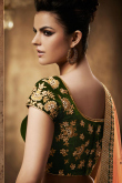 Peach Green Net And Velvet Saree With Velvet Blouse