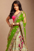 Green Net Lehenga With Silk Choli