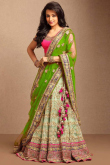 Green Net Lehenga With Silk Choli