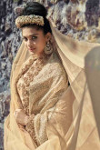 Beige Net Saree With Blouse
