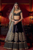Blue Velvet Lehenga with Velvet Choli