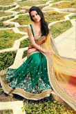 Green And Yellow Chiffon Net Saree With Art Silk Blouse