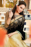 Beige And Black Georgette And Net Saree With Velvet Blouse