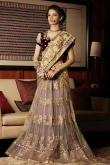 Cream with maroon Georgette and net Saree With Velvet Blouse