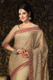 Beige Net Saree with Blouse