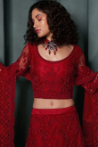 Dori Embroidered Deep Red Net Panelled Style Lehenga