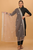 Dusty Peach Net Dori Embroiderd Dupatta