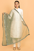Dusty Green Net Embroidred Dupatta