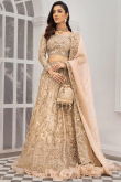 Dusty Beige Tissue Silk Embroidered Lehenga