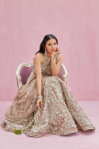 Dusty Beige Velvet Embroidered Lehenga