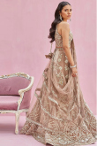 Dusty Beige Velvet Embroidered Lehenga