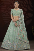 Dusty Green Chinnon Embroidered Panelled Style Lehenga