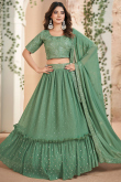 Dusty Green Georgette Embroidered Flared Lehenga 