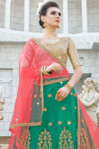 Pastel Green Net Embroidered Lehenga
