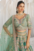 Dusty Green Two Tone Tissue Embroidered Lehenga