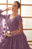 Dusty Mauve Stone Embellished Panelled Style Net Lehenga