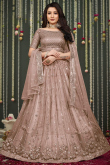 Lehenga in Dusty Peach Net for Party Wear with Resham embroidery