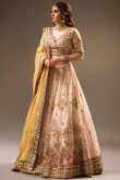 Dusty Peach Net Embroidered Lehenga