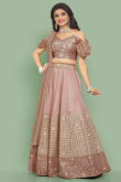 Dusty Pink Cotton Silk Embroidered Panelled Style Lehenga 